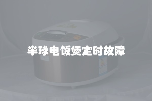 半球电饭煲定时故障