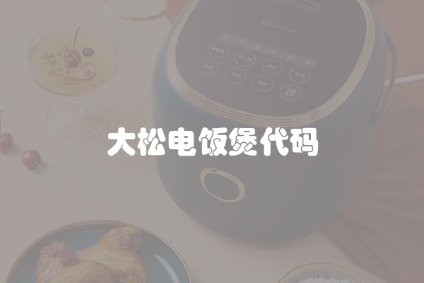 大松电饭煲代码