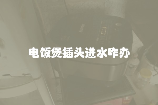 电饭煲插头进水咋办