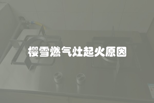 樱雪燃气灶起火原因