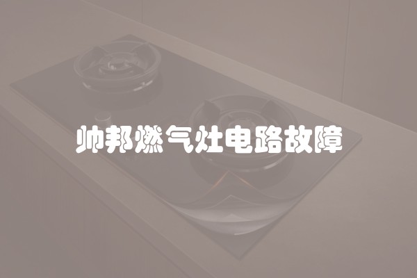 帅邦燃气灶电路故障
