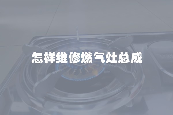 怎样维修燃气灶总成