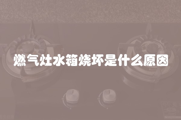 燃气灶水箱烧坏是什么原因