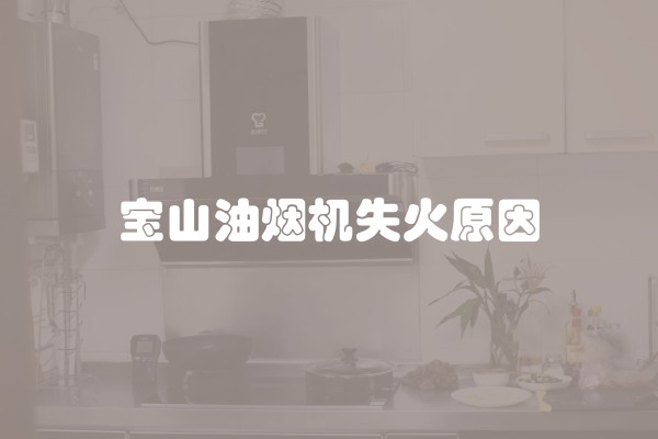 宝山油烟机失火原因