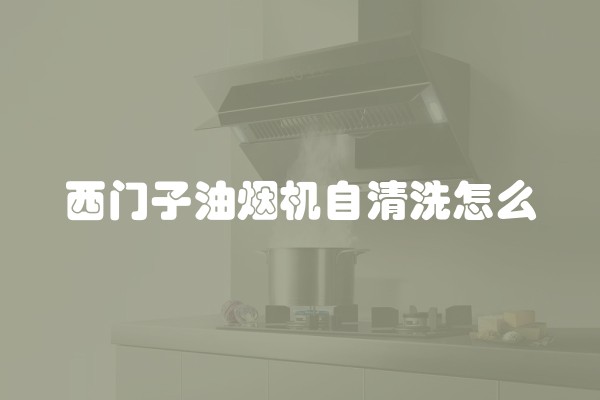 西门子油烟机自清洗怎么