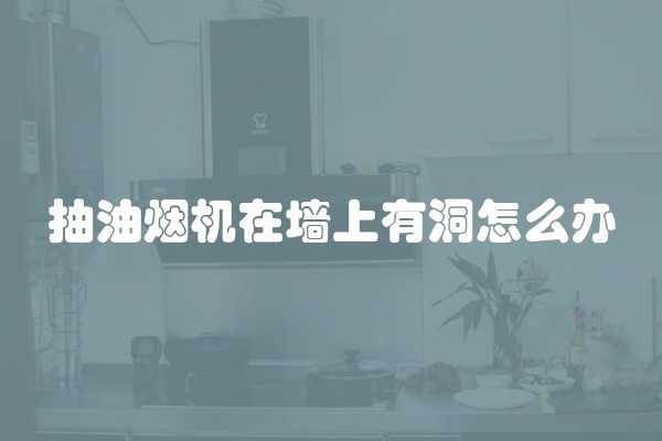 抽油烟机在墙上有洞怎么办