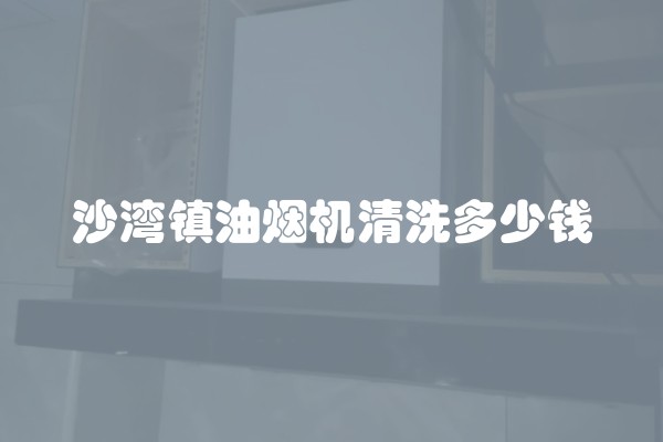 沙湾镇油烟机清洗多少钱