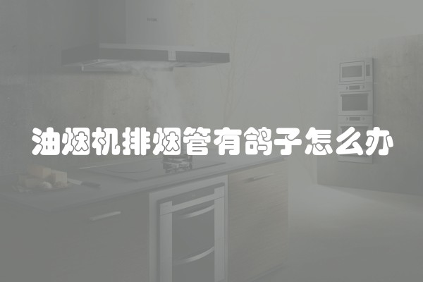 油烟机排烟管有鸽子怎么办
