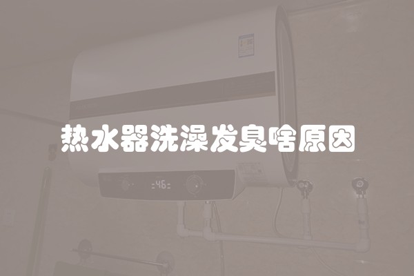 热水器洗澡发臭啥原因