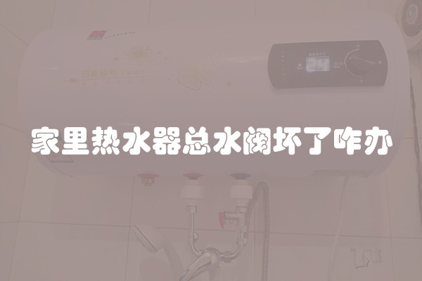 家里热水器总水阀坏了咋办