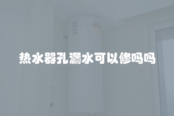 热水器孔漏水可以修吗吗