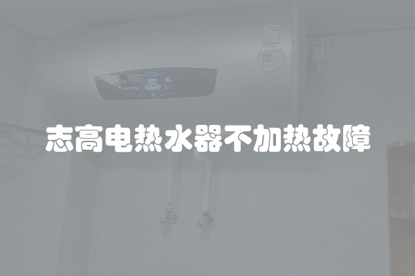 志高电热水器不加热故障