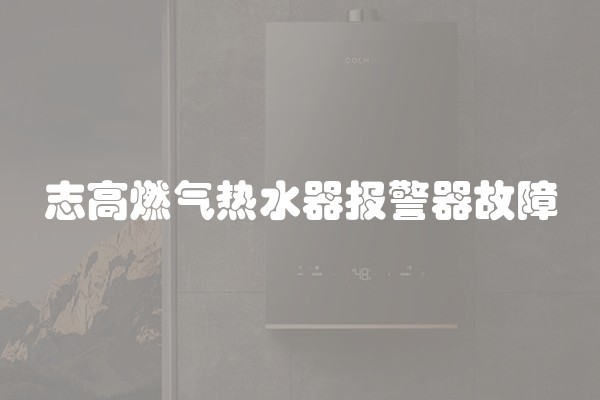 志高燃气热水器报警器故障