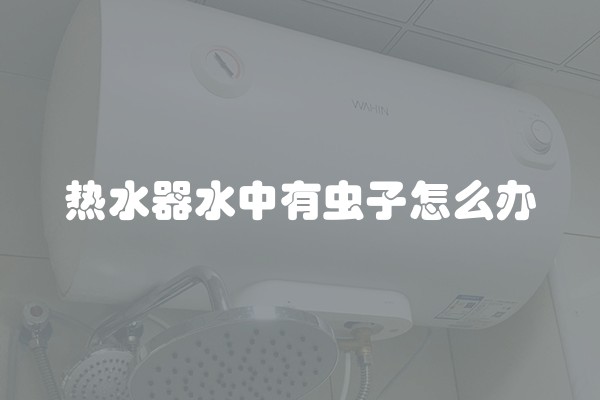 热水器水中有虫子怎么办