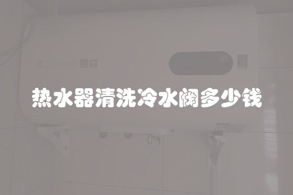 热水器清洗冷水阀多少钱