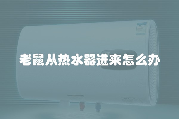 老鼠从热水器进来怎么办