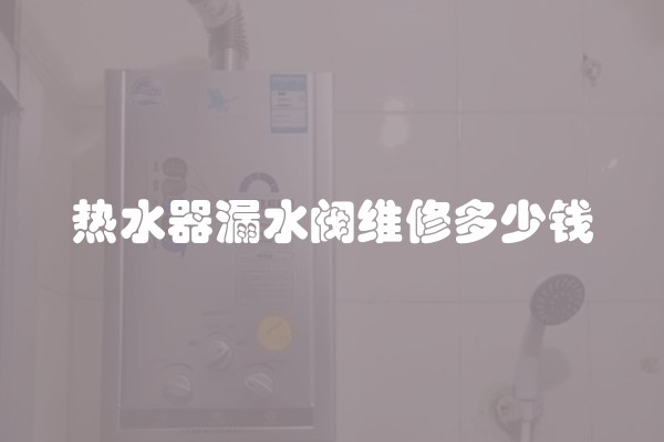 热水器漏水阀维修多少钱