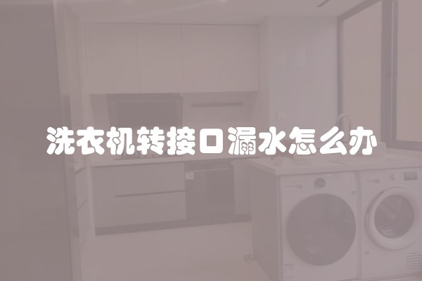 洗衣机转接口漏水怎么办