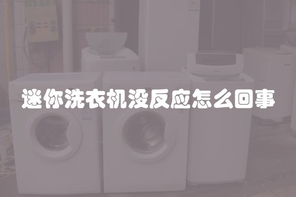 迷你洗衣机没反应怎么回事