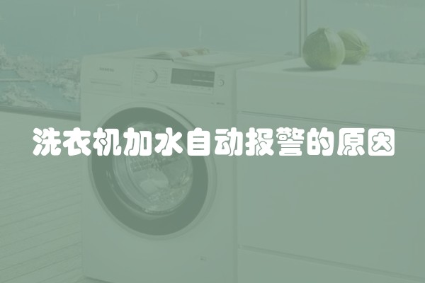 洗衣机加水自动报警的原因