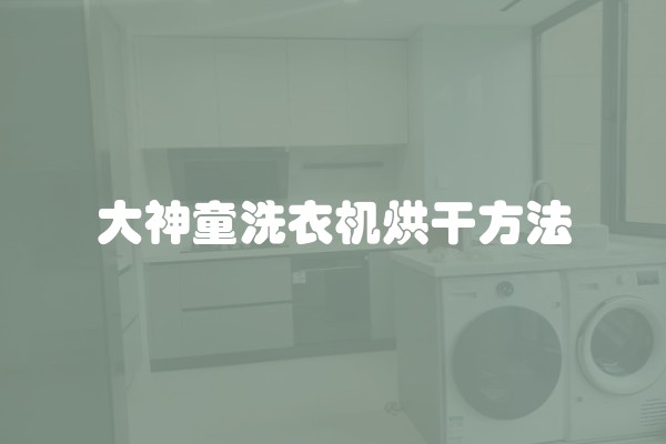 大神童洗衣机烘干方法