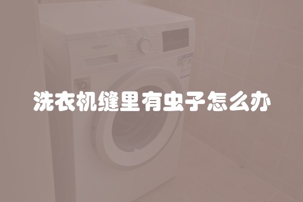 洗衣机缝里有虫子怎么办