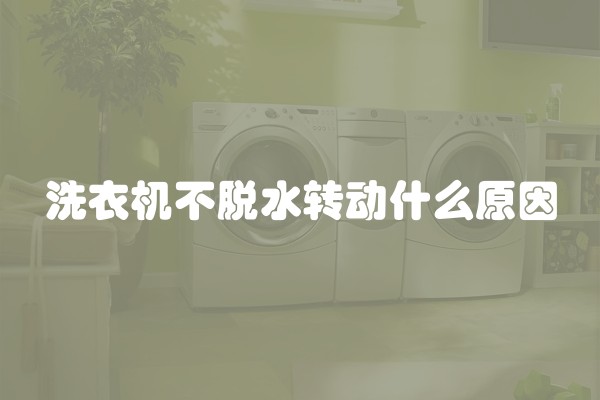 洗衣机不脱水转动什么原因