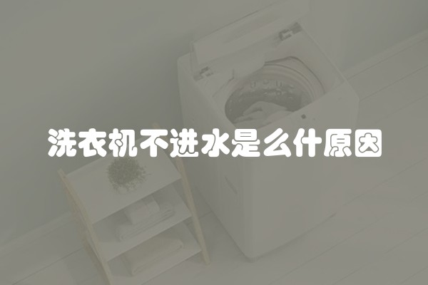 洗衣机不进水是么什原因