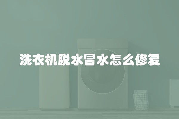 洗衣机脱水冒水怎么修复
