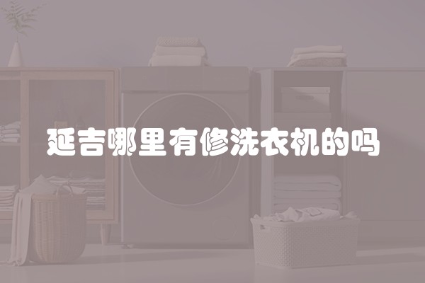 延吉哪里有修洗衣机的吗