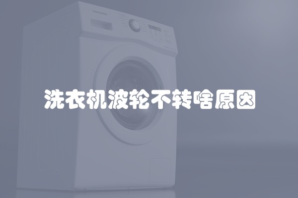 洗衣机波轮不转啥原因