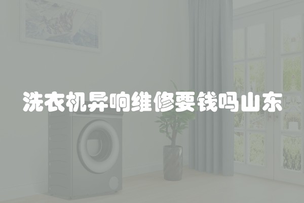 洗衣机异响维修要钱吗山东