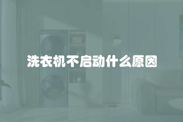 洗衣机不启动什么原因