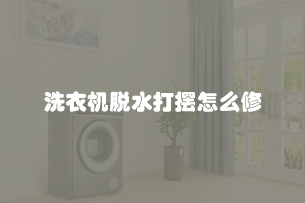 洗衣机脱水打摆怎么修