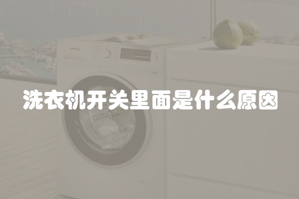 洗衣机开关里面是什么原因