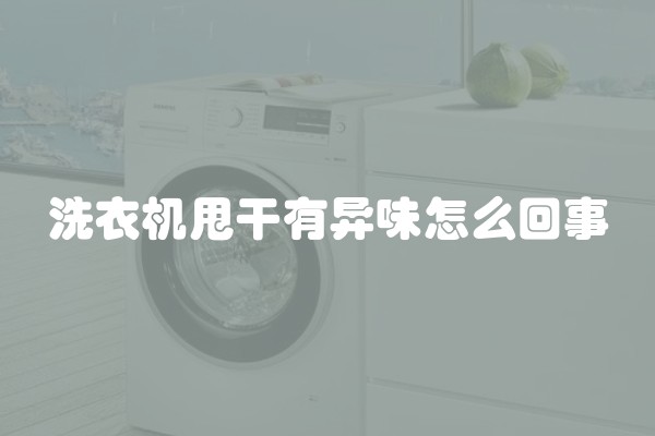 洗衣机甩干有异味怎么回事