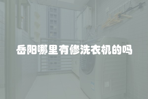 岳阳哪里有修洗衣机的吗