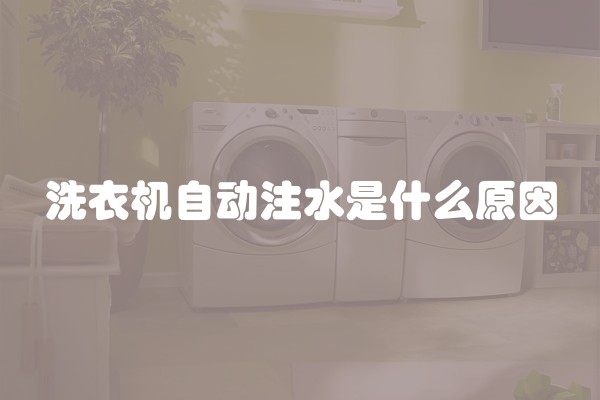 洗衣机自动注水是什么原因