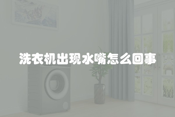 洗衣机出现水嘴怎么回事