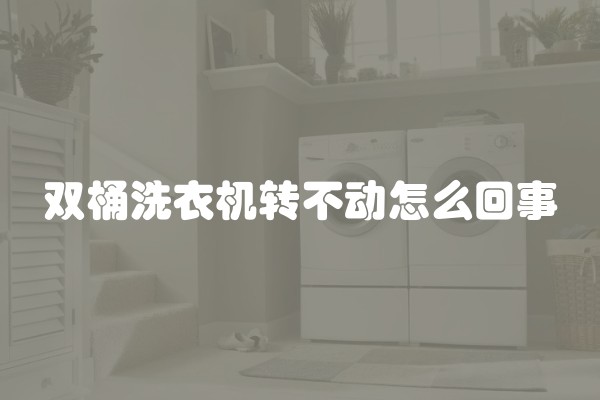 双桶洗衣机转不动怎么回事