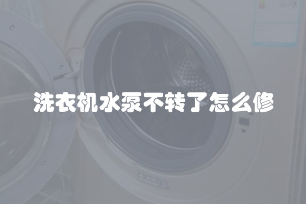 洗衣机水泵不转了怎么修