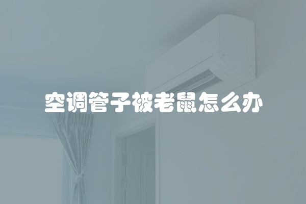 空调管子被老鼠怎么办
