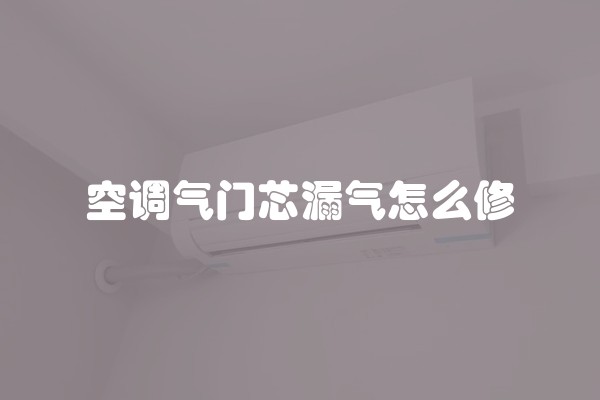 空调气门芯漏气怎么修
