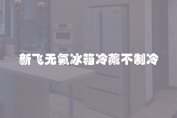 新飞无氟冰箱冷藏不制冷