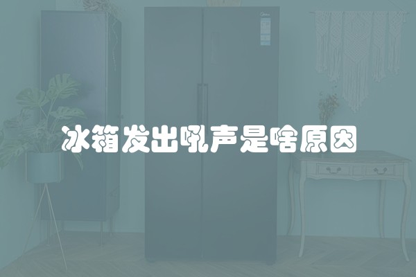 冰箱发出吼声是啥原因