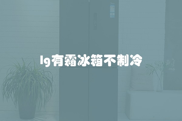 lg有霜冰箱不制冷