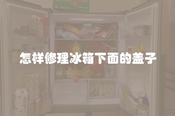 怎样修理冰箱下面的盖子