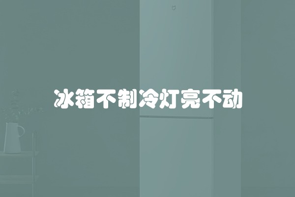 冰箱不制冷灯亮不动