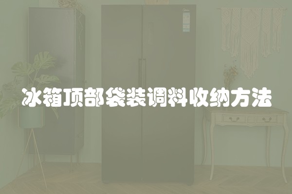 冰箱顶部袋装调料收纳方法
