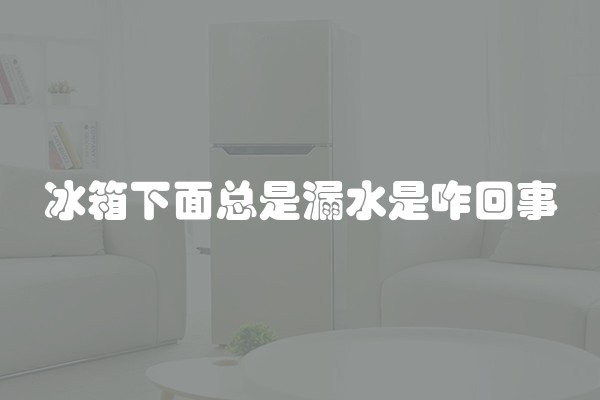 冰箱下面总是漏水是咋回事
